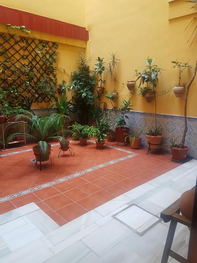 Centrico Y Luminoso Con 2 Dormitorios. A/C + Wifi Sevilla Dış mekan fotoğraf
